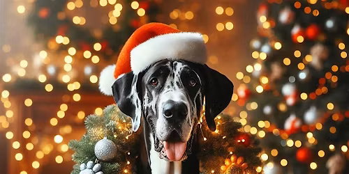 Paw-itively Perfect Wreath Workshop