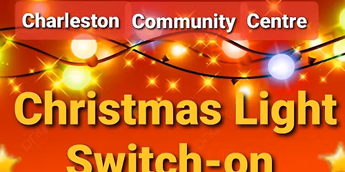 Charleston Christmas Light Switch-on and kids show