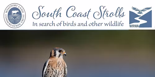 South Coast Stroll: Herb Hadfield