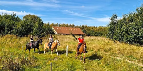 SENSOMMERTUR