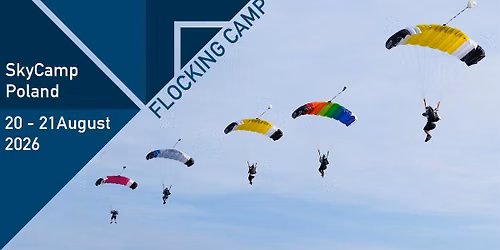 Momentum Flocking Camp \ud83d\udd25