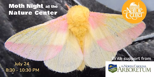 Moth Night at the Nature Center