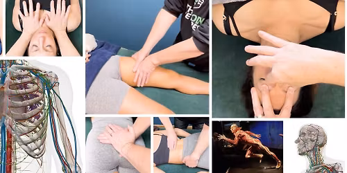 LYMPHATICS UNLOCKED - Bury St Edmunds