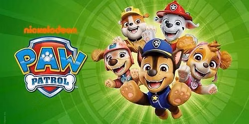 PAW Patrol Party