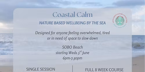 Coastal introduction to nature connection with Little Reds Nature Connection