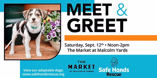 Safe Hands Rescue Meet & Greet at The Market at Malcolm Yards