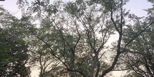 Sunset Yoga in Riverdale Park