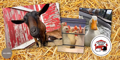 Critter Barn