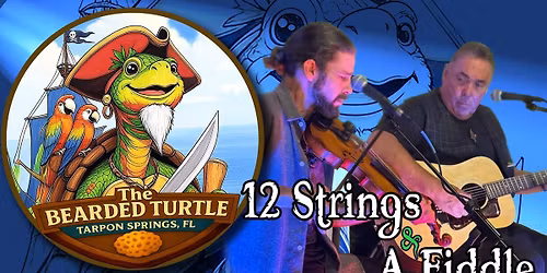 12 Strings And A Fiddle at The Bearded Turtle 