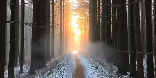 Light in the In Between - Northern Lights Chorale Fall 2025 Concert Series