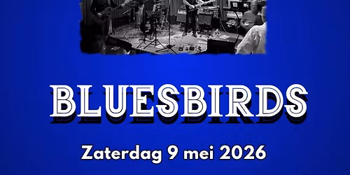 BLUESBIRDS live in Cafe Ut Vloot 