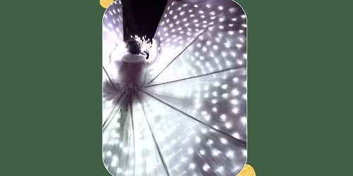 Les Papillons Blancs : une d\u00e9ambulation f\u00e9erique et lumineuse !