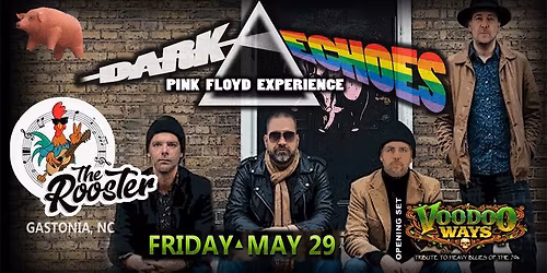 Dark Echoes: The Pink Floyd Experience