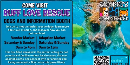 Splash Dog Diving and Adoption showcase