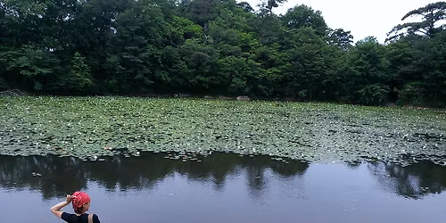 6\/21(\u65e5) \u7761\u84ee\u306e\u82b1\u54b2\u304f\u5929\u4e0a\u754c\u306e\u3088\u3046\u306a\u666f\u8272!\u82a6\u5c4b\u30ed\u30c3\u30af\u30ac\u30fc\u30c7\u30f3\u30fb\u98a8\u5439\u5ca9\u30fb\u91d1\u9ce5\u5c71\u30b0\u30eb\u30e1\u30cf\u30a4\u30ad\u30f3\u30b0