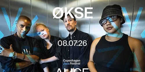 \u00d8KSE (DK\/SE\/HT\/US) at ALICE