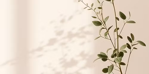 ILOINA X 10 V POP UP