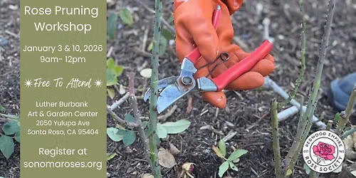 Annual Rose Pruning Workshop #1