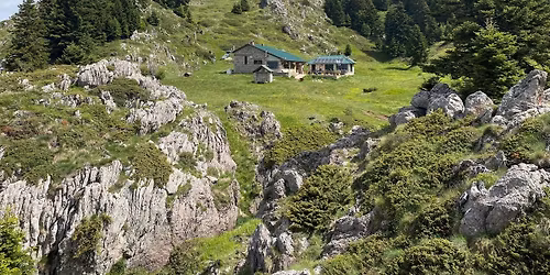 \u039a\u0395\u03a1\u039a\u0395\u03a4\u0399\u039f\u039d \u039f\u03a1\u039f\u03a3 (\u039a\u039f\u0396\u0399\u0391\u039a\u0391\u03a3)