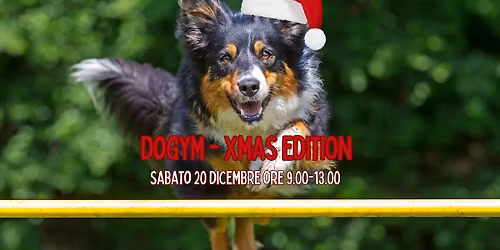 DOGYM - XMAS EDITION