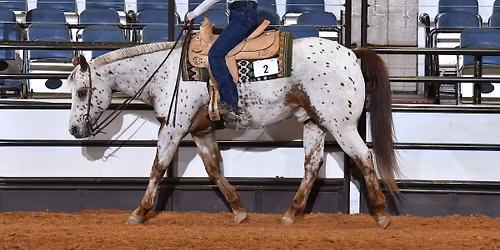 FWSSR Ponies of America Show
