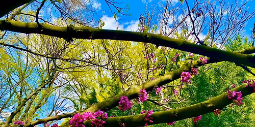 \ud83d\udfea \u00c1TL\u00c9P\u00c9S, Amikor M\u00e1r Nem Mented Meg