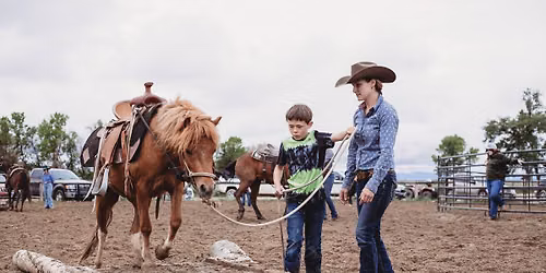 Colt Starting Clinic, Casper, WY