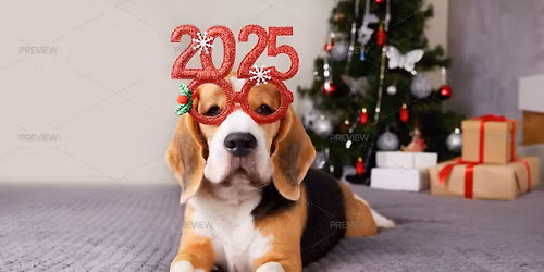 December Roseville Beagle Meet Up