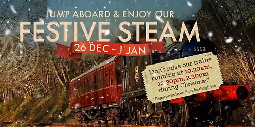 Festive Steam