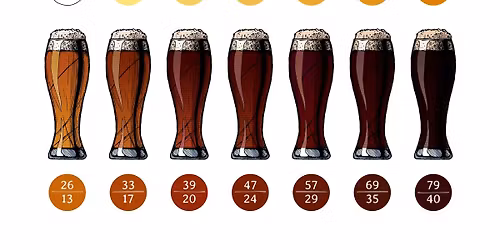 January Monthly Meeting - Helles Lager