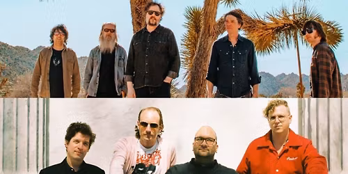 Deer Tick
