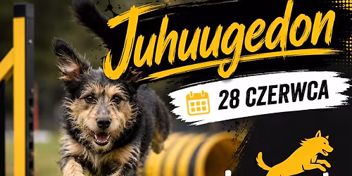 Nieoficjalne Zawody Agility Juhuugedon