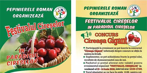 Festivalul Cireselor in Paradisul Cireselor - Concurs " Cireasa Gigant"