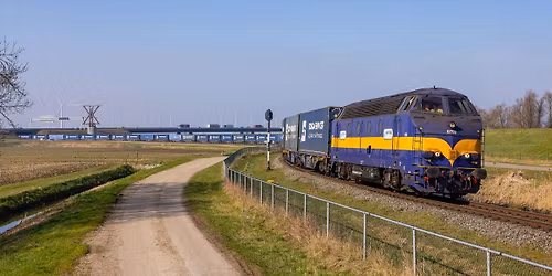 The First of Many: The Boog and Beyond