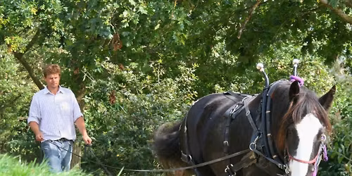 Community woodland walk out