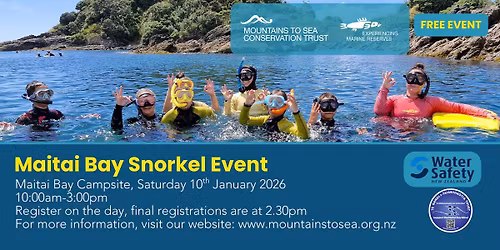 Maitai Bay Snorkel Day