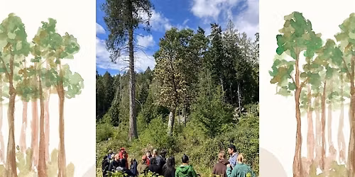 Medicine Walk through the Nuts'a'maat Forage Forest