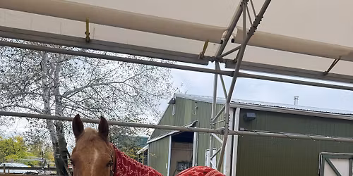 Post a Letter to Santa from a Pony