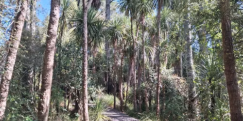 (E-E\/M) ANZAC Long Weekend - Gordon Park with Cave & P\u0101 Site (Nearby Walk\/Multiple Distance Options)