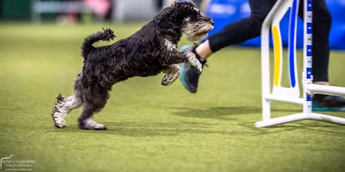 KM i agility
