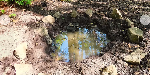 Guidning biologiska m\u00e5ngfalden i Bagarmossenskogen med Bergholmsk\u00e4llan natur och arkeologi