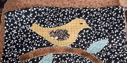 Machine Raw Edge Applique Class