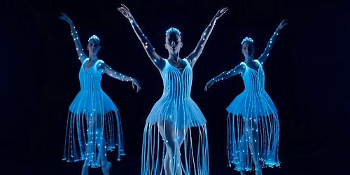 Ballet of Lights: Sleeping Beauty