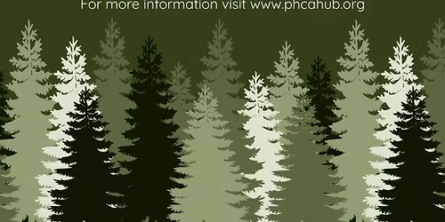 Christmas in the Park & Luminary Night