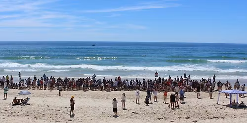 The Beagle Club of QLD Inc Annual Christmas Walk