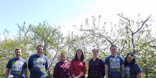 Orchard Volunteer Callout