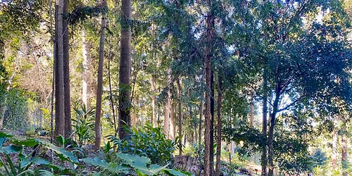 Tread softly through history and heritage at the Botanic Gardens