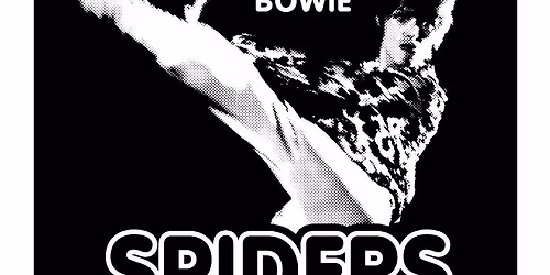 Spiders on Mars