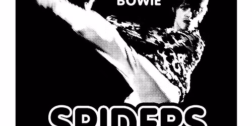 Spiders on Mars