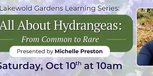 All About Hydrangeas: Lakewold Gardens Learning Series
